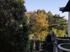 -伯先公园