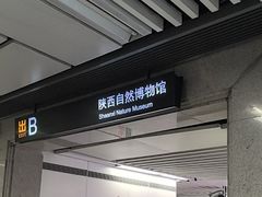 -陕西自然博物馆