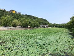 -北山公园