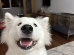 -贝康宠物医院·犬猫全科·小动物特色诊疗中心(东环路店)