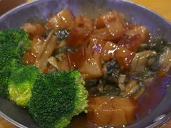 -美食小镇·观赏珍稀鸟类·长隆熊猫酒店