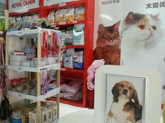 android_upload_pic-芭比堂动物医院(广州爱宠下渡路分院)