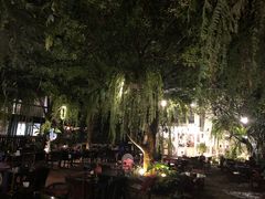 -Fern Forest Cafe