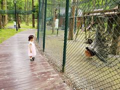 -黄海国家森林公园