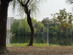 -新江湾城公园
