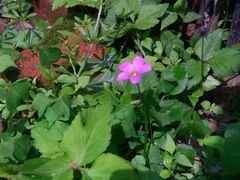 -汉中石门栈道景区