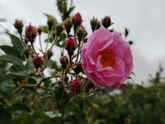 -人民公园(罗湖区)