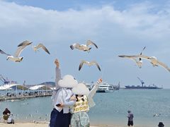 -海驴岛(荣成市)