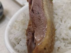 -优之名鹅城