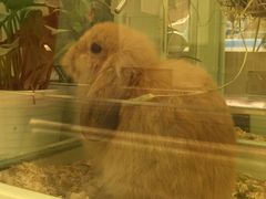 -龙猫仔乐园(惠福东路店)