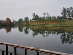 -白鹭湾湿地公园