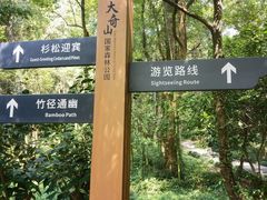 -大奇山国家森林公园