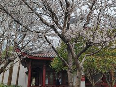 -堤角公园
