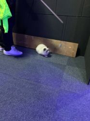 -BBVR团建聚会体验馆·亲子DIY手工