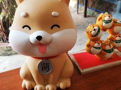 -柴犬高等学院·狗咖·柴犬售卖·宠物训练