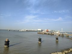 -吴淞炮台湾湿地森林公园烧烤区