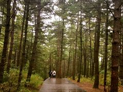 -帽儿山国家森林公园