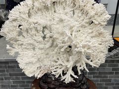 -游龙石文化科普馆