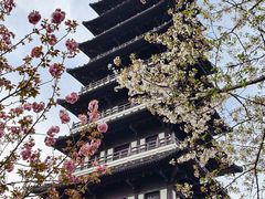 -宜兴龙背山森林公园