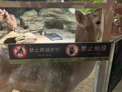 -绿色星球动物主题公园