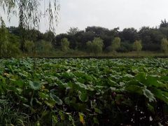 -东关历史文化旅游区-东门遗址