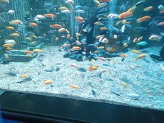 -正佳极地海洋世界