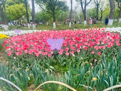 -玄武湖景区-情侣园游乐场