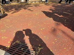 -辽宁大学(崇山校区)