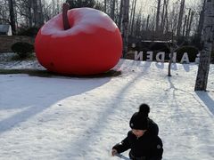 -禧宴Joyous Restaurant(禧园店)