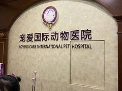 -宠爱国际动物医院· 猫科· 外科·中兽医(长白店)