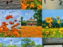 -北海公园