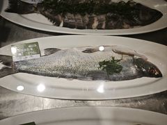 -莫山小馆(百花店)