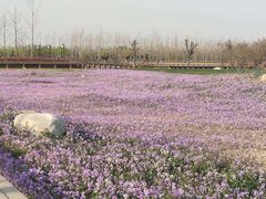 -汉长安城未央宫国家考古遗址公园