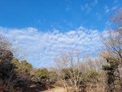 -北京西山国家森林公园