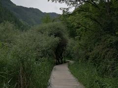 -九寨沟-树正沟