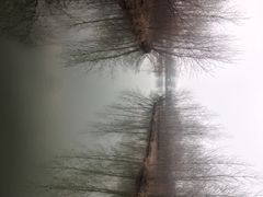 溱湖国家湿地公园-溱湖国家湿地公园