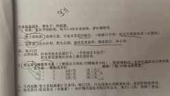 -首都儿科研究所附属儿童医院