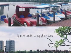 -美的鹭湖森林度假区