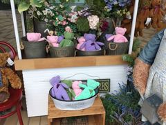 -济州岛泰迪熊博物馆