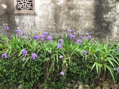 -前童古镇