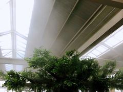 -太白山御龙湾温泉