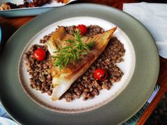 煎鳐鱼翅配东欧野扁豆-Kitchen·Y洋厨房西餐厅(王府壹号店)