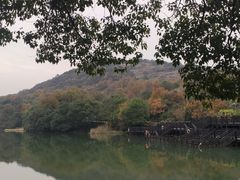 -白马涧龙池景区