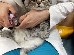 -美联众合动物医院·24h京西诊疗中心