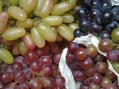 -马陆小张葡萄园农家乐