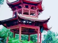 -铁山坪森林公园