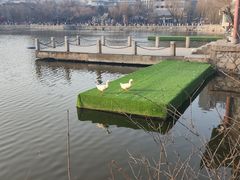 -文瀛公园
