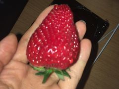 -百果园PAGODA(菊香苑店)