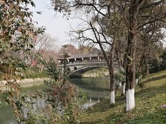 -塔子山公园