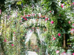 -三圣花乡旅游区